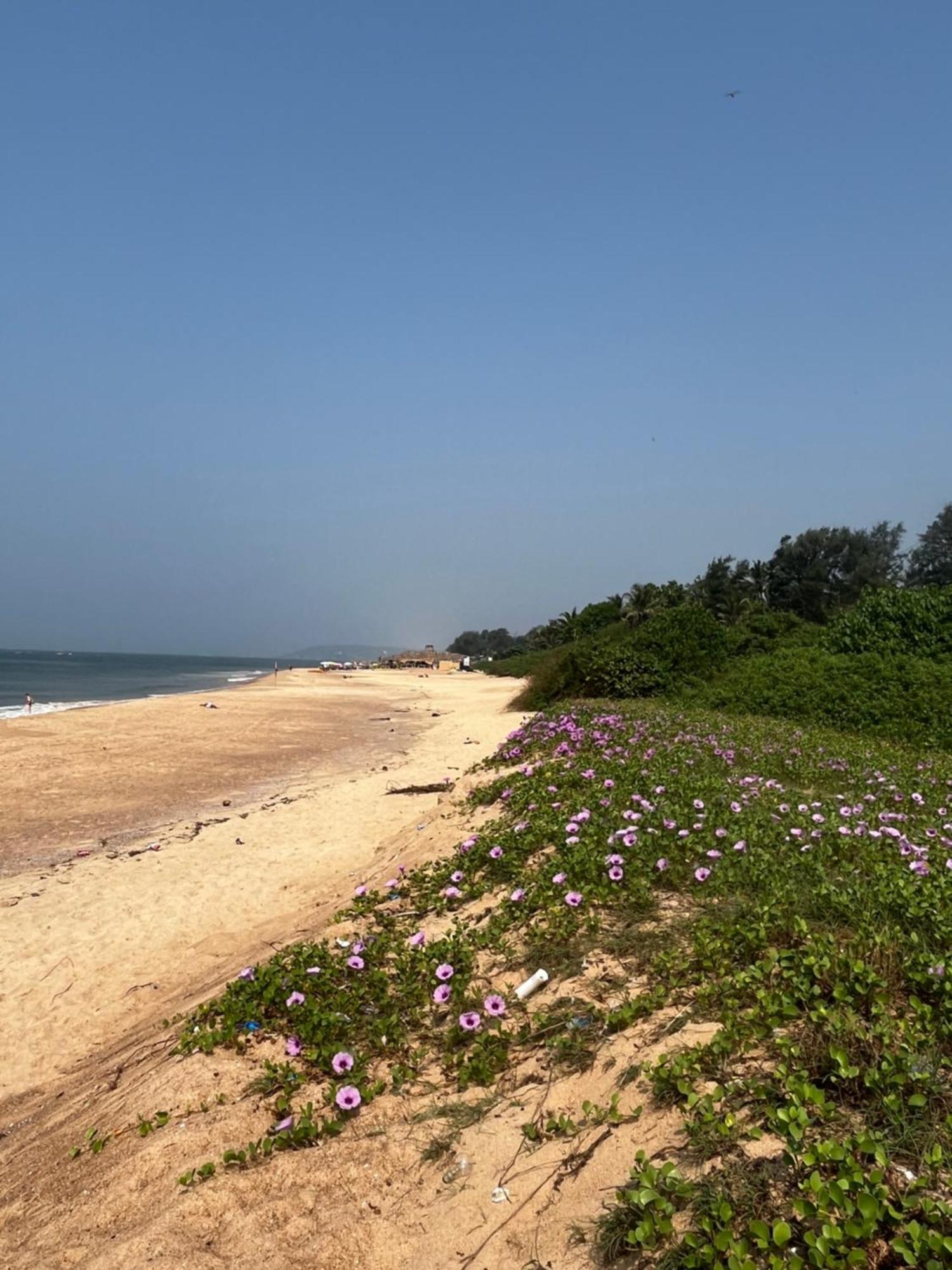 Coco Inn Goa Кандолім Екстер'єр фото