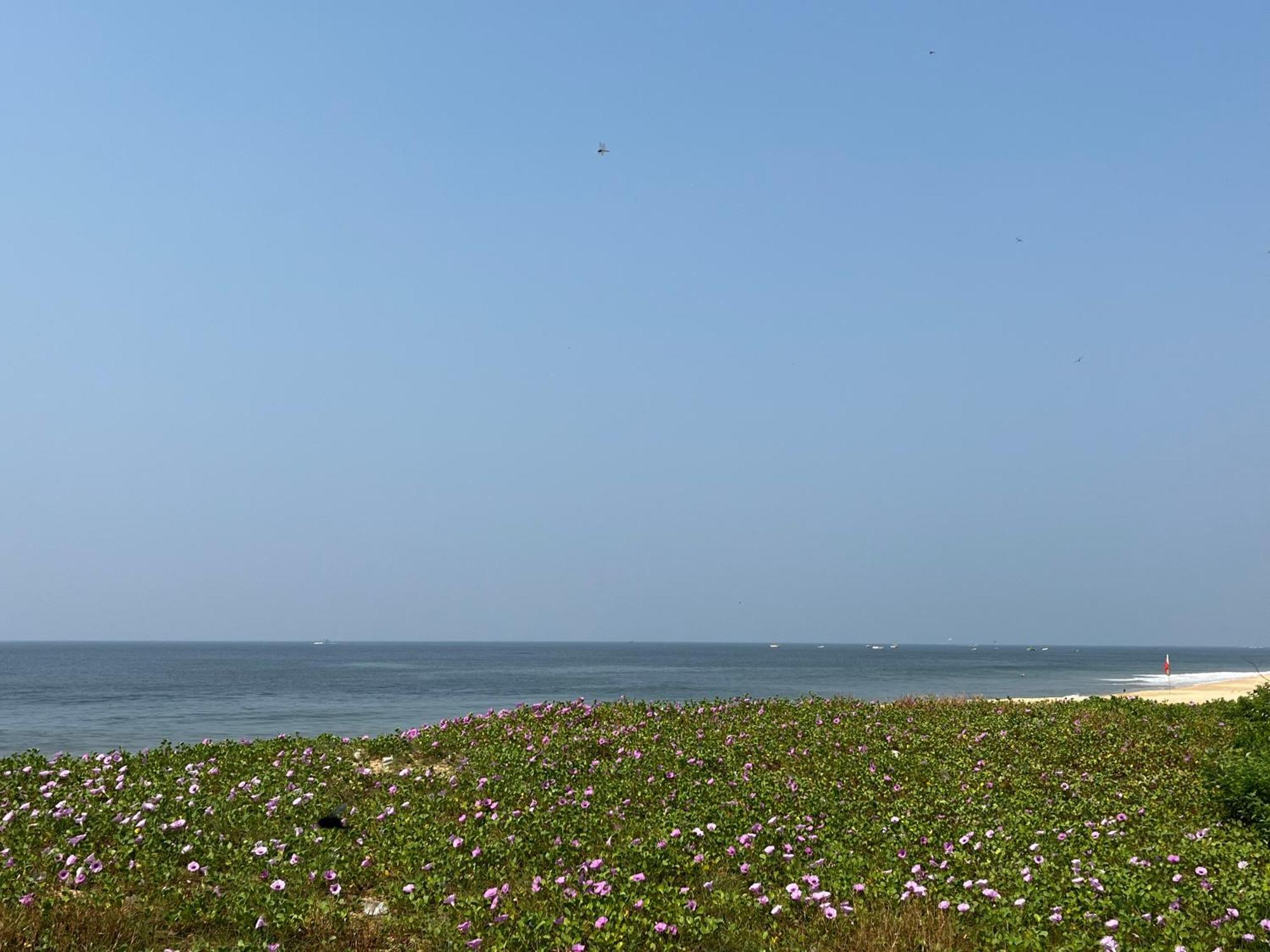 Coco Inn Goa Кандолім Екстер'єр фото